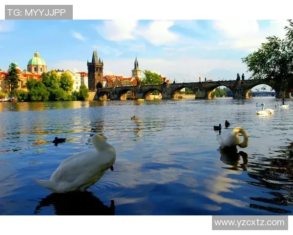 以色列与捷克斯洛伐克的历史交锋与文化碰撞分析